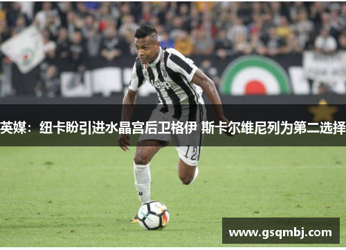 英媒：纽卡盼引进水晶宫后卫格伊 斯卡尔维尼列为第二选择